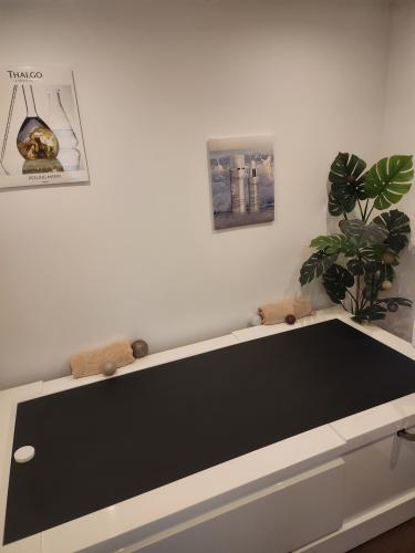 ramonage pour l'hiver